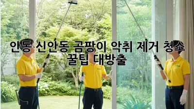 안동 신안동 곰팡이 악취 제거 청소 꿀팁 대방출! 🏡✨