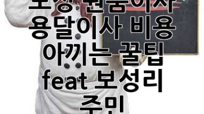 보성 원룸이사, 용달이사 비용 아끼는 꿀팁🍯 (feat. 보성리 주민)