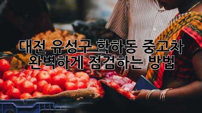 대전 유성구 학하동 중고차, 완벽하게 점검하는 방법!