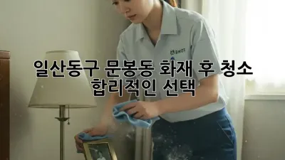 일산동구 문봉동 화재 후 청소 🔥 합리적인 선택!